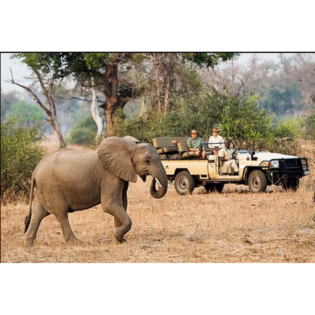 Game Drive & Rhino Tracking Safari (eripa tours and taxis)