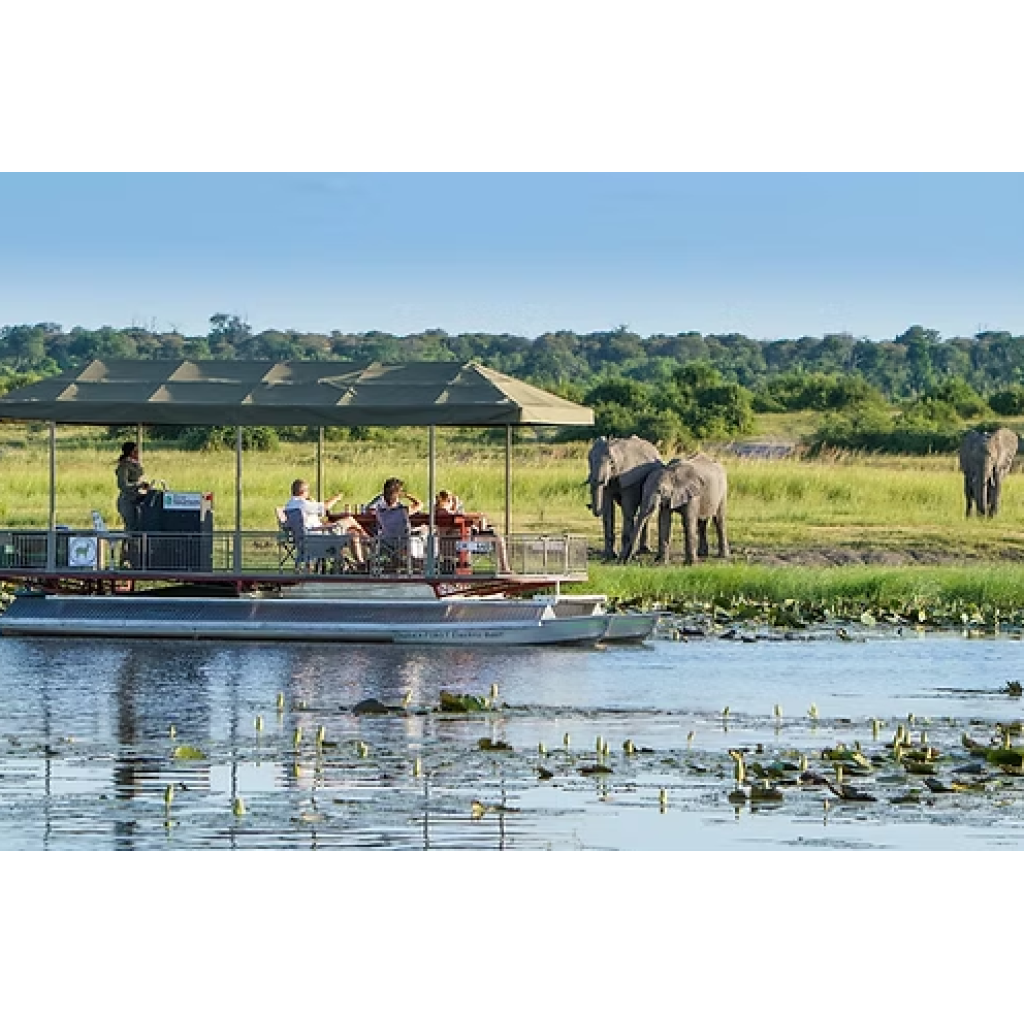 Chobe Day Trip (eripa tours and taxis)