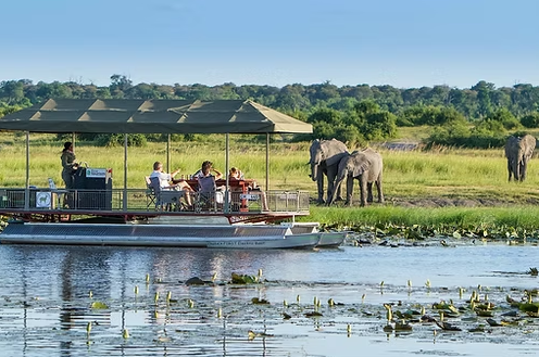 Chobe Day Trip (eripa tours and taxis)
