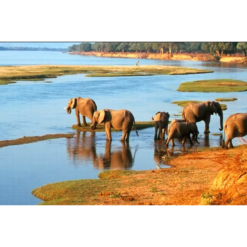 Chobe Day Trip (eripa tours and taxis)