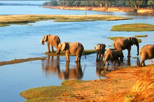 Chobe Day Trip (eripa tours and taxis)