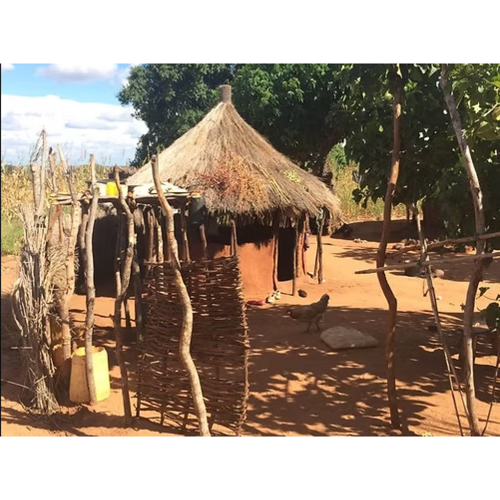 Village Cultural Tour (eripa tours and taxis)