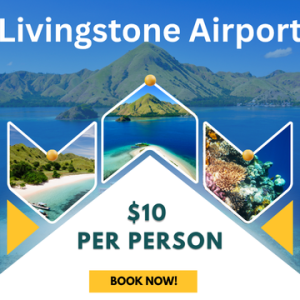 Livingstone Airport